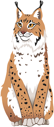 lynx playful